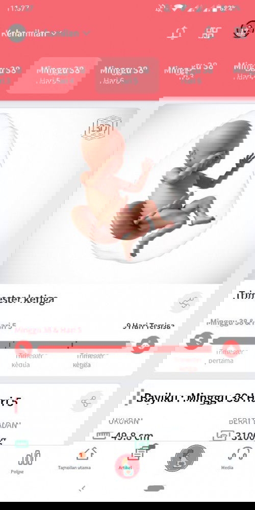 Menunggu gelombang cinta