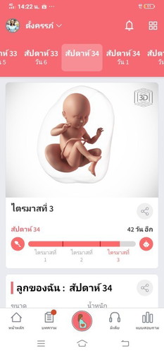 34สัปดาห์