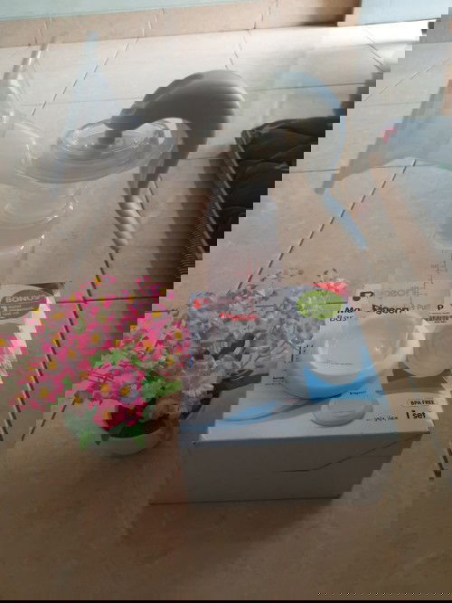 Jual Pompa Asi Manual Pigeon