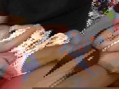 น้ำหนักขึ้นเร็วไปมั้ยค่ะ