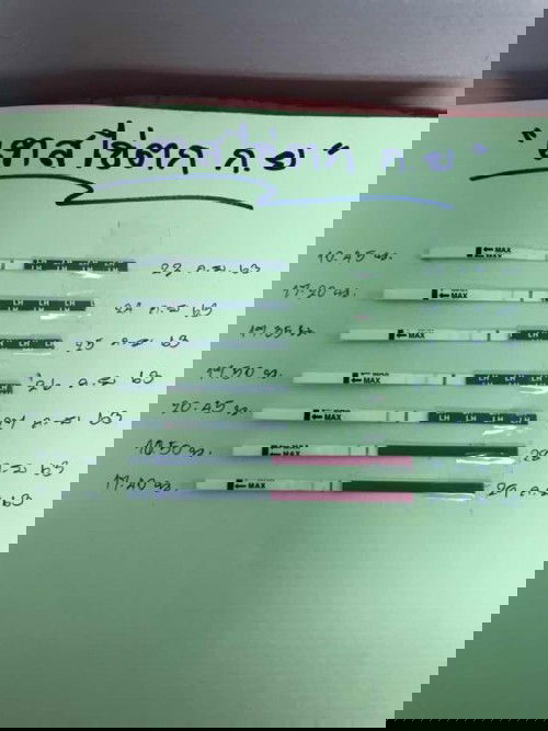 ถามแม่ๆคะไข่ตกไหม