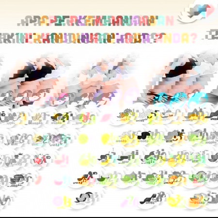 Tahukah anda perkembangan kandungan anda sekarang?