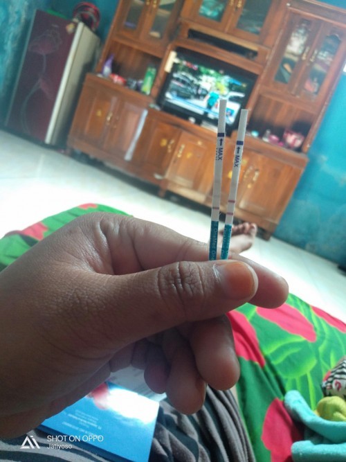 Hamil 8 Minggu