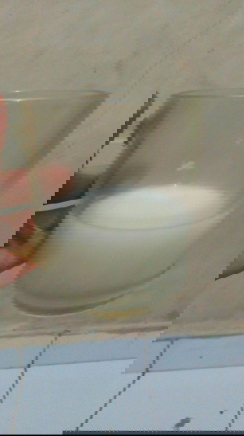 Sayang untuk dibuang