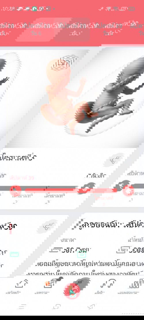 เชิงกรานสูง