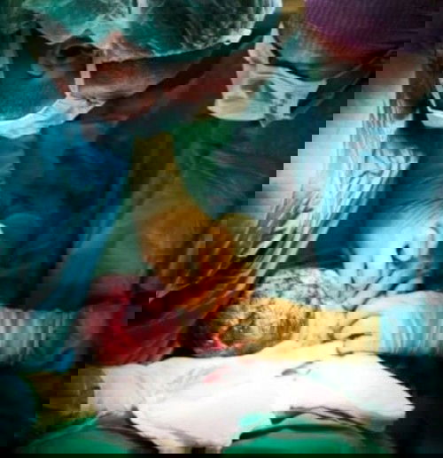 stop ! jangan katakan aku tidak menjadi seorang ibu.