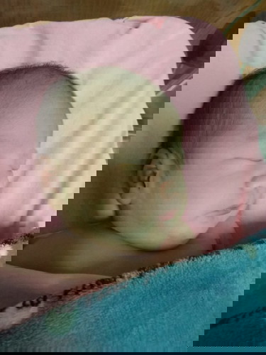 คลอดแล้วน่ะค่ะทรมตุลาคม