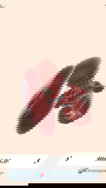 Menuju 27 minggu kehamilan