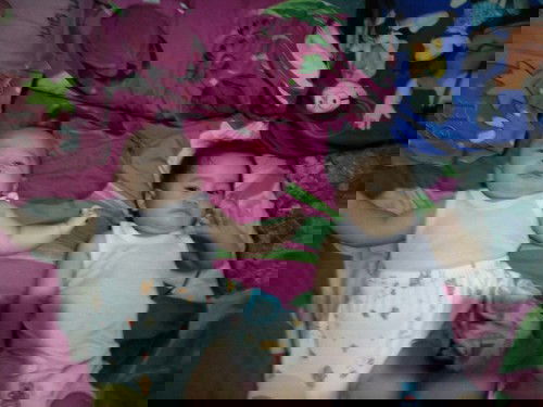 Assalamualaikum teman teman