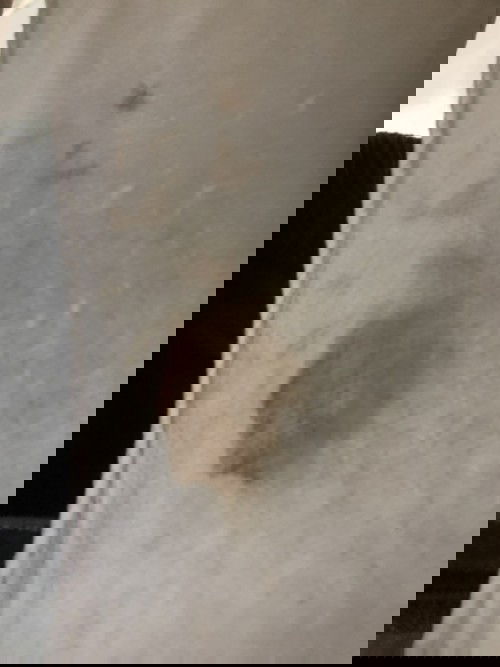 วันนี้ มีตกขาวเป็นสีน้ำตาลอ่อนๆ วันแรกค่ะ ครรภ์อยู่ในสัปดาห์ที่7