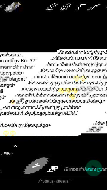 Thepowersupportsystem