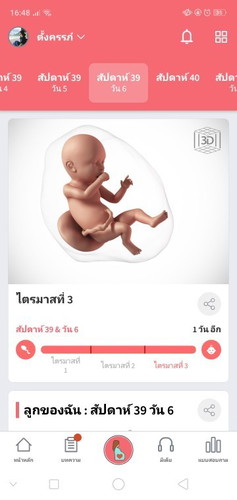 ทีมตุลาจ๋าา