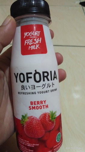 Yogurt ( YOFORIA)