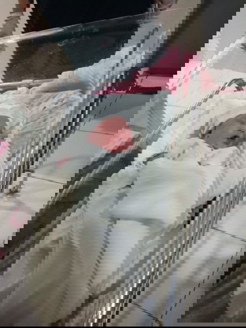 Welcome to the world baby