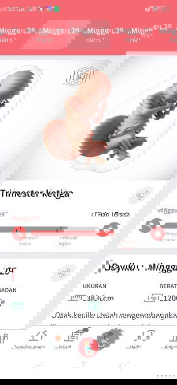 Askum selamat pagi bunda