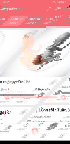 Bầu 38w ( bé đầu)