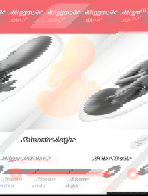 Nikmatnya tm3😁😁