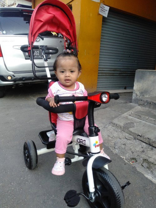 Perkembangan anak