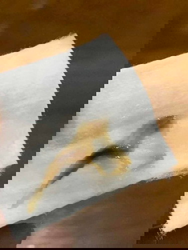 มูกใส ก่อนคลอด