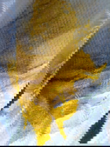 อึแบบนี้ปกติไหมคะ