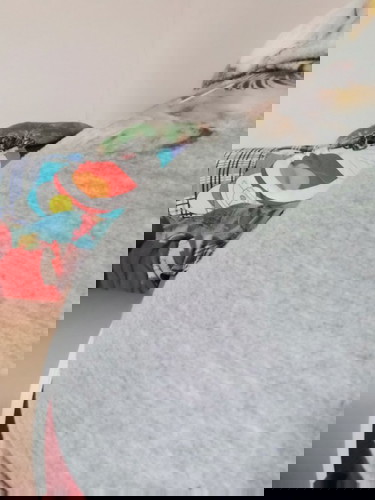 28wแล้วยังไม่รู้เพศเลยค่ะ