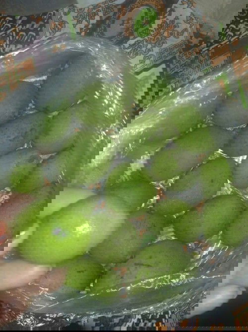 Putik buah Limus/Pakel/Bacang