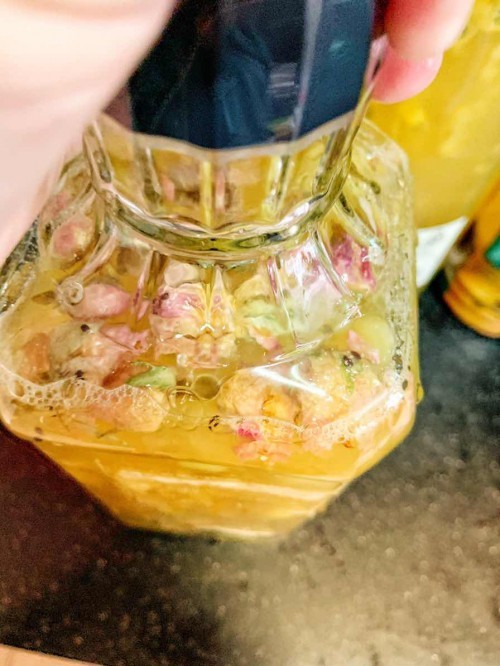 Kombucha F2