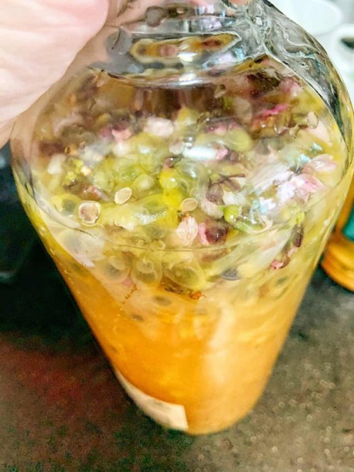 Kombucha F2