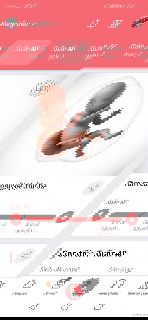 40w tròn rồi các mom ui