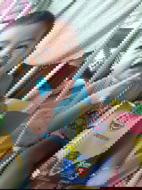 นมตราหมี