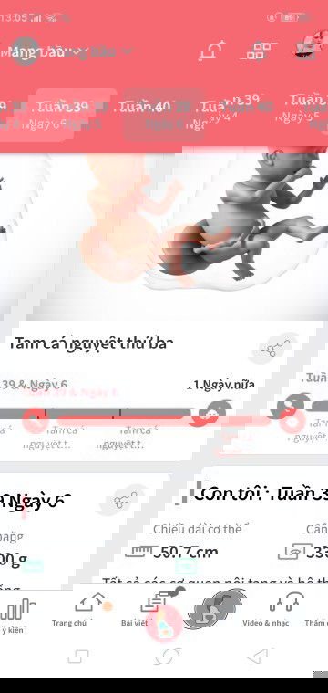 Hóng quá các mom 😀