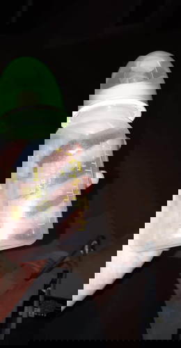 เรื่องของขวดนม 👶