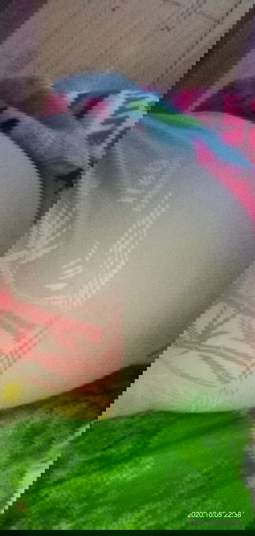 Nanya soal kehamilan.