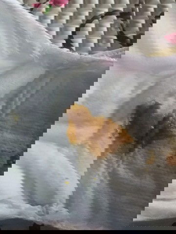 con em dc 15 ngay ỉa tước nhu z nhiu lan trong ngay co sau k cac mon