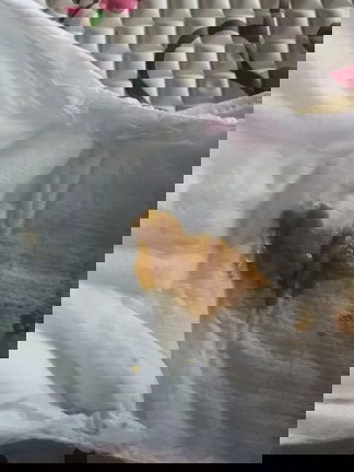 con em dc 15 ngay ỉa tước nhu z nhiu lan trong ngay co sau k cac mon