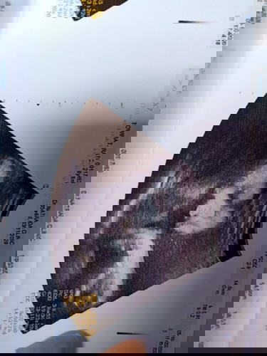 สอบถามหน่อยคะ