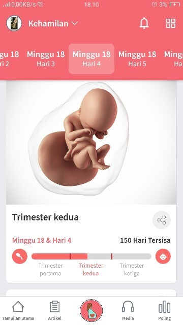 Gerakan janin