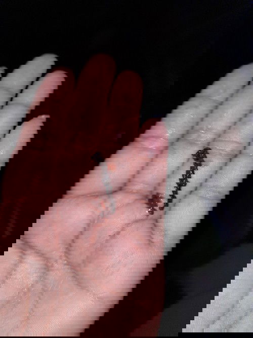 Ada yg pernah ngalamin ke aku ga ya bun ,di perkirakan 7minggu ,saat usg 5minggu