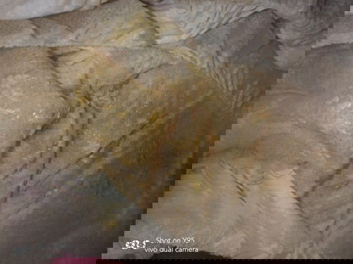 Fases tidak berwarna