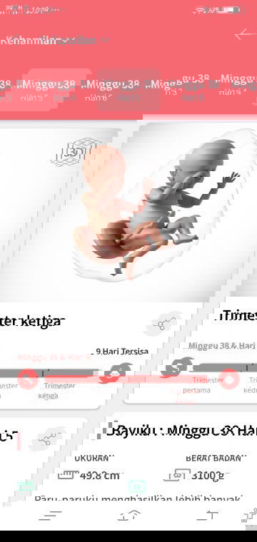 Bunda bantu jawab yaa, urgent