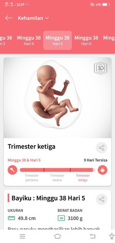 Bunda bantu jawab yaa, urgent