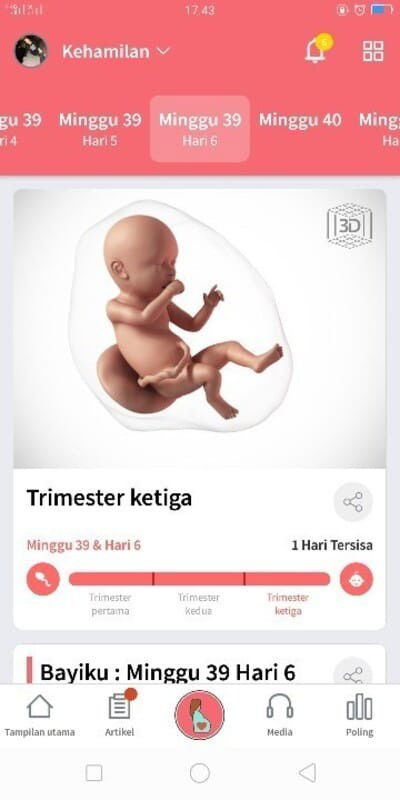 Menunggu Gelombang Cinta