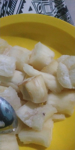 Singkong pengganti nasi