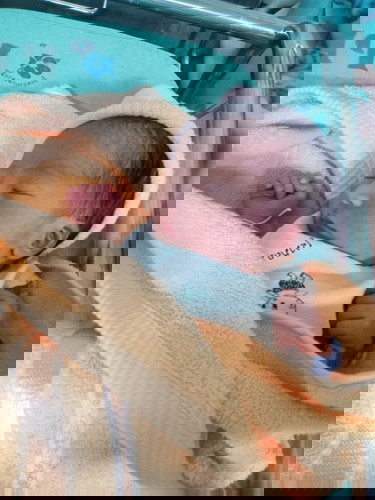 แตกแล้วค่า 38 วีคพอดี