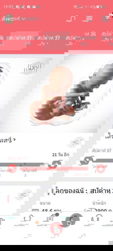 กำหนด29ตุลา63