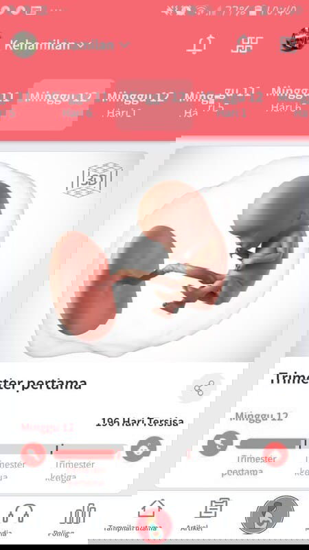 Mengatasi gatal saat hamil di TM pertama