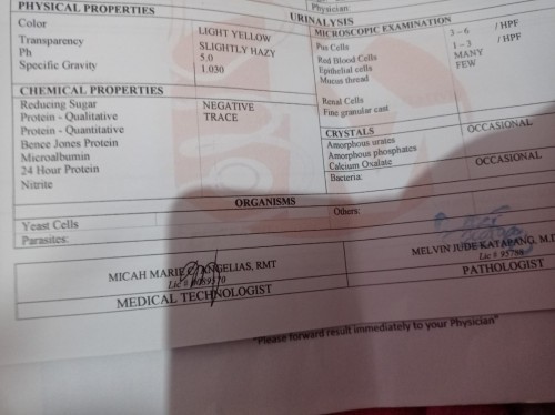 Urinalysis result