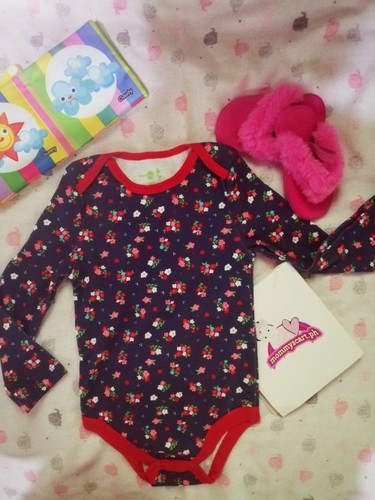 Hudson baby onesies
