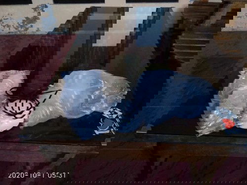 PL Breast Pump Real Bubee