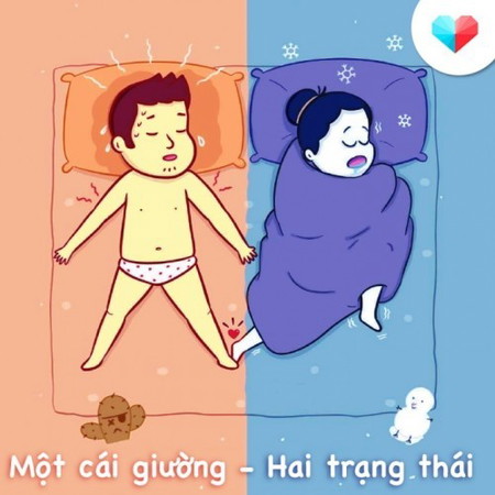 Một cái giường - Hai trạng thái